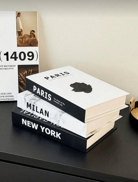 3 Faux Livres Décoratifs