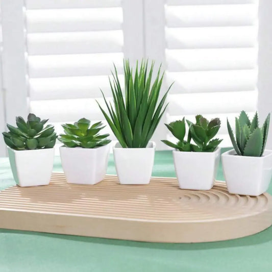 5 Plantes Artificielles Déco