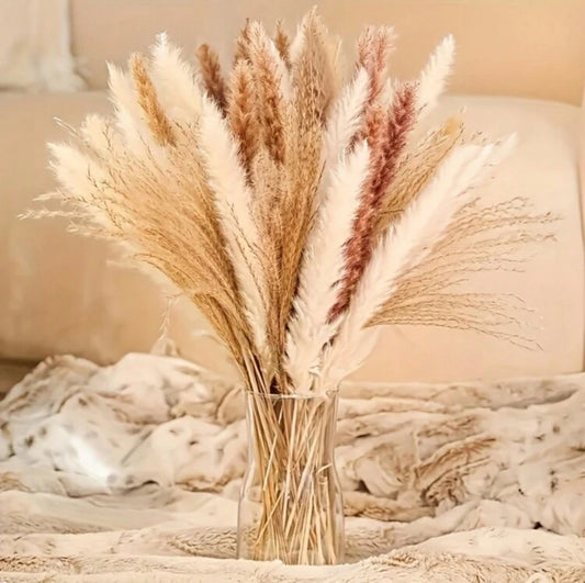 Fleurs Sèches Décoration