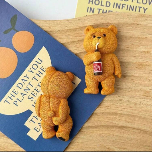 Aimants Frigo TED