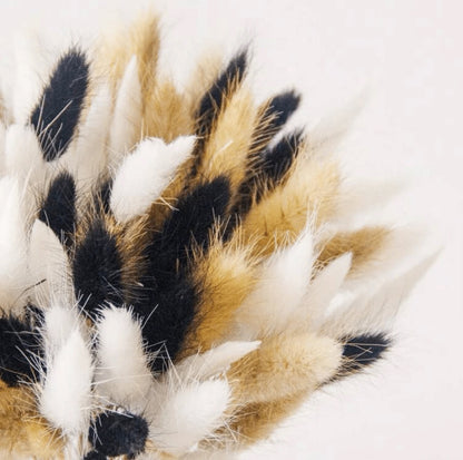 Bouquet de Pampas