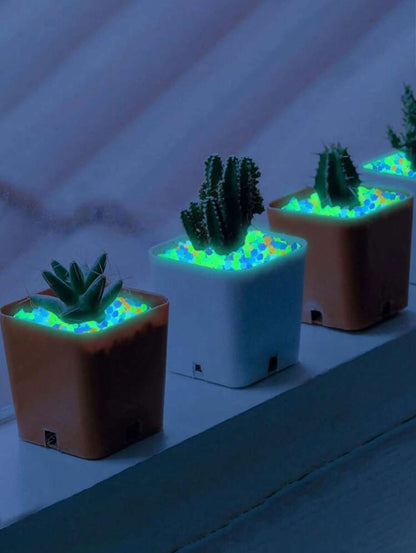 Pierre Lumineuse Décorative