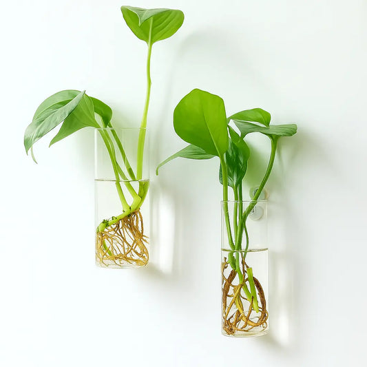 Vase Mural Transparent