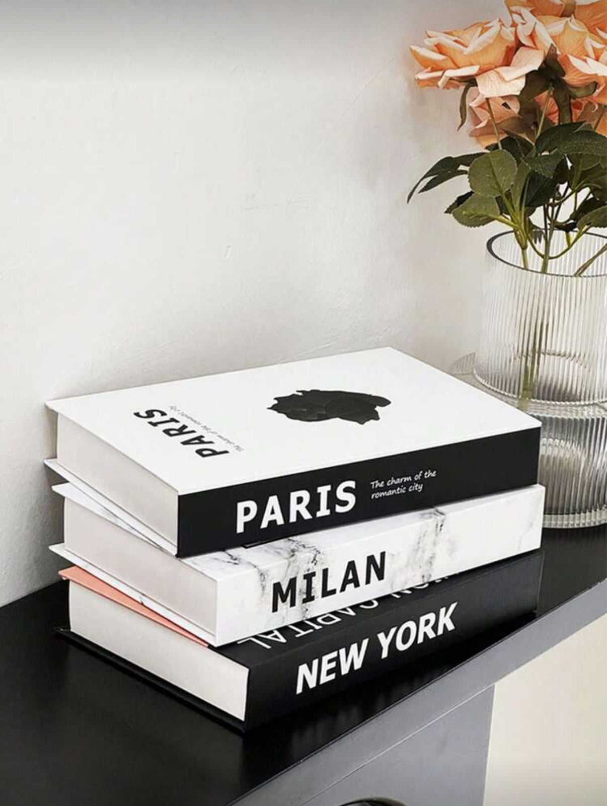 3 Faux Livres Décoratifs