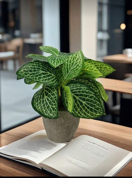 Plante Verte Artificielle