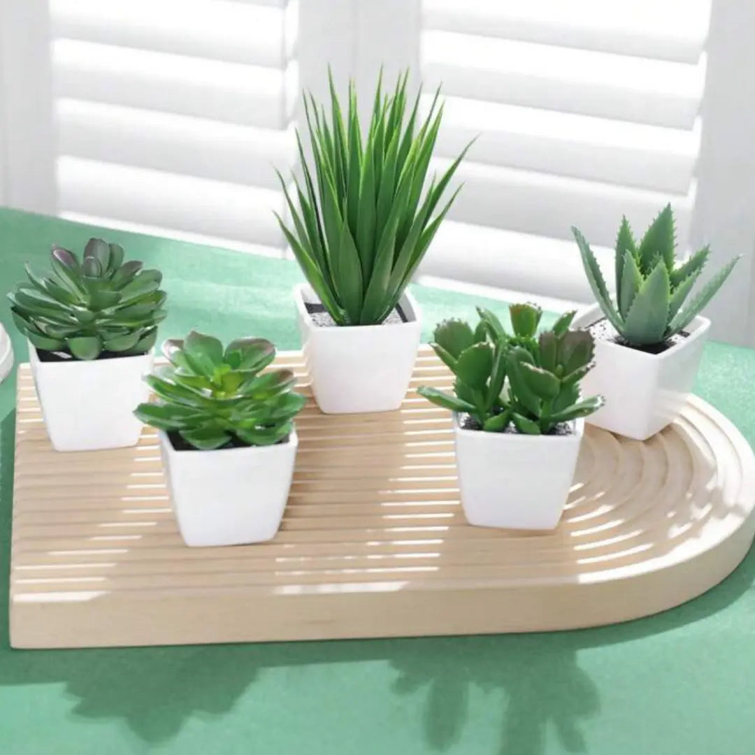 5 Plantes Artificielles Déco