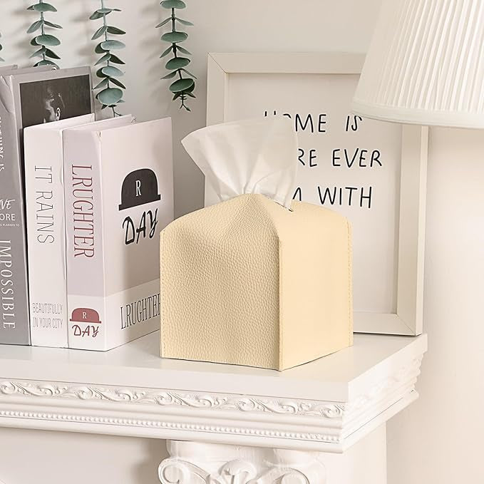 Boîte à Mouchoirs Design