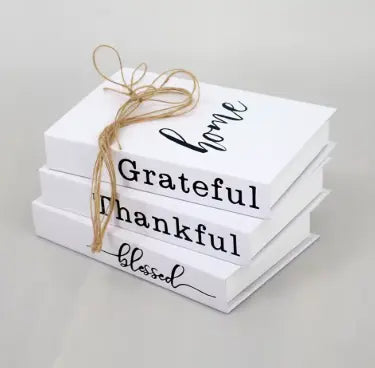 3 Faux Livres Déco Vintage